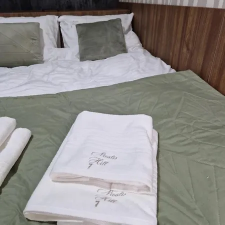 Appartement Nivalis Hill 7 *